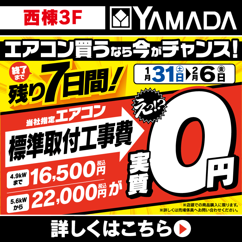 ヤマダデンキ(1/31-2/6)