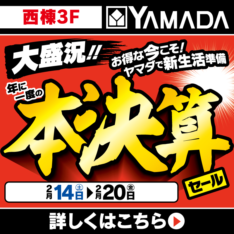 ヤマダデンキ(2/14-20)