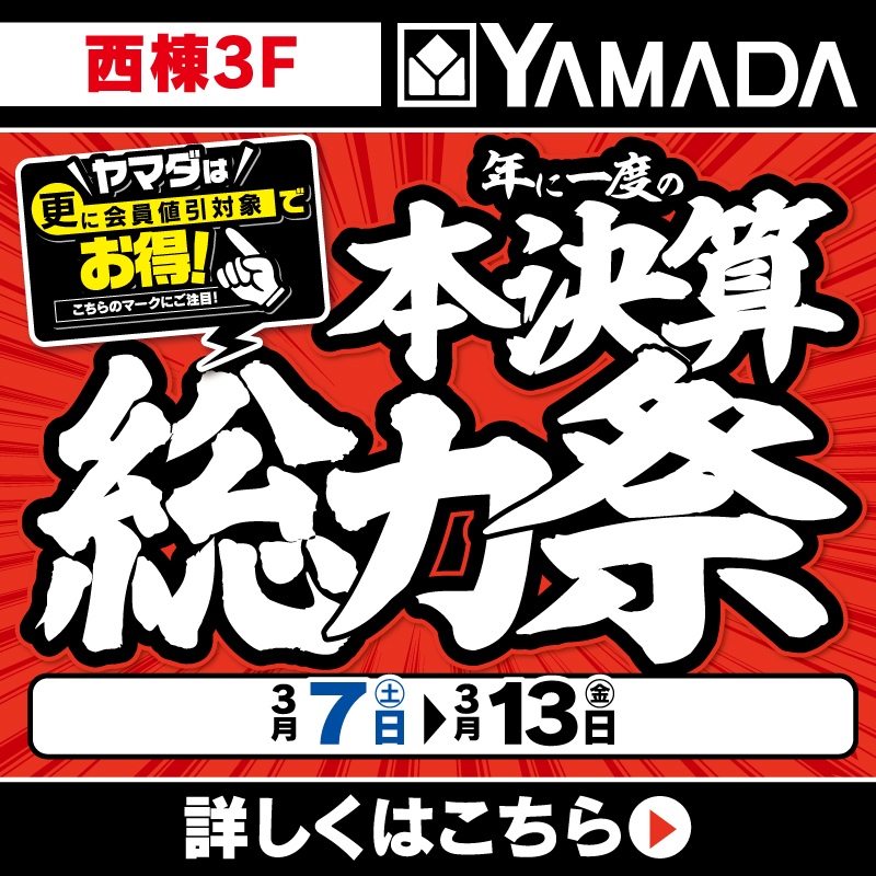 ヤマダデンキ（3/7-13）