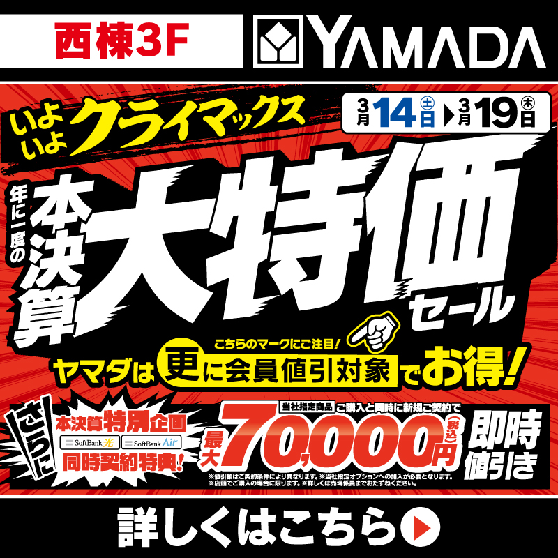 ヤマダデンキ（3/14-19）