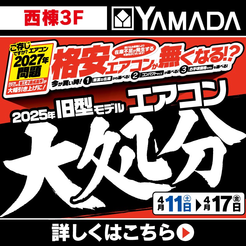ヤマダデンキ（4/11-17）
