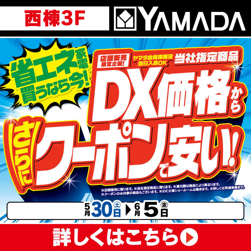ヤマダデンキ（5/30-6/5）