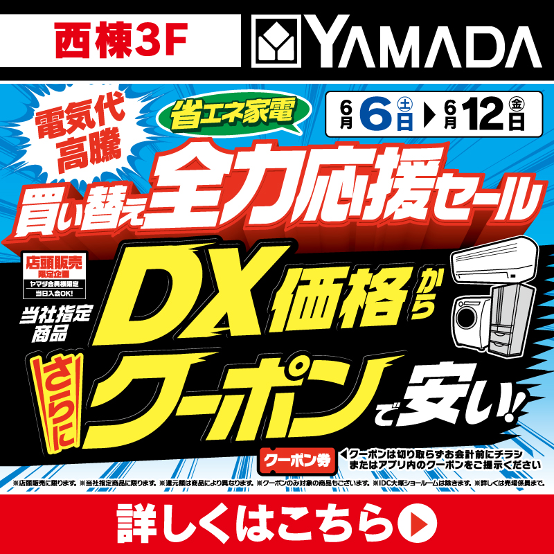ヤマダデンキ（6/6-12）