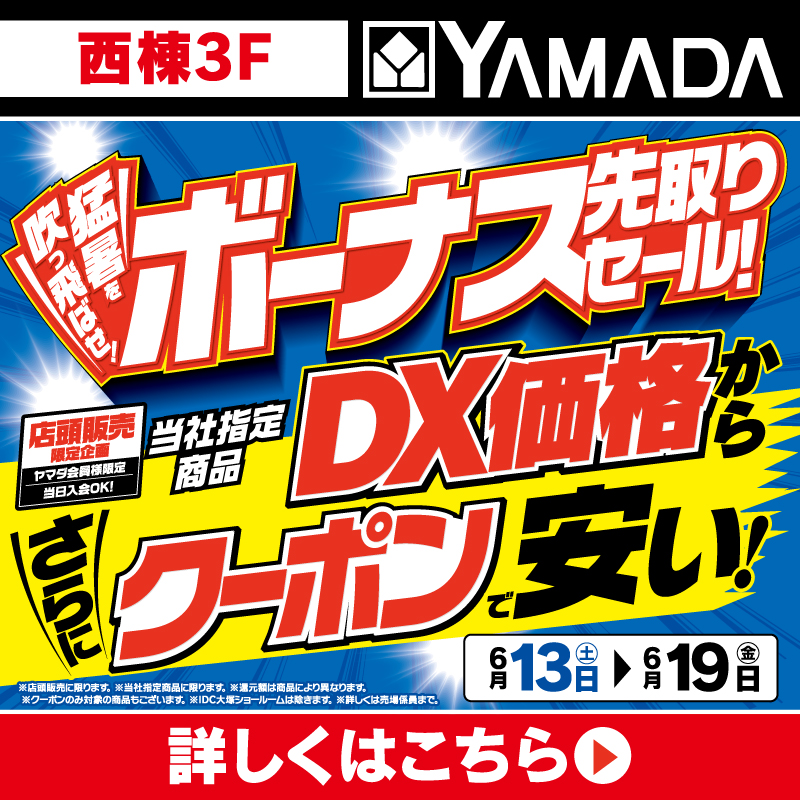 ヤマダデンキ(6/13-19)