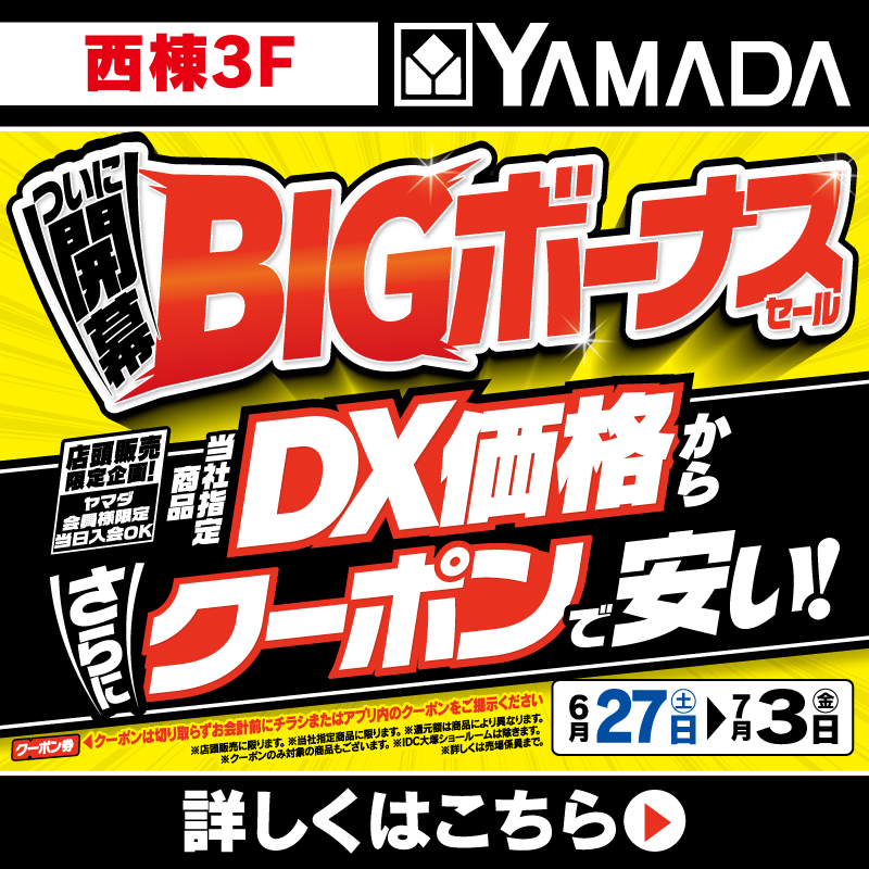 ヤマダデンキ（6/27-7/3）