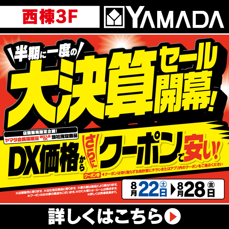 ヤマダデンキ（8/22-28）