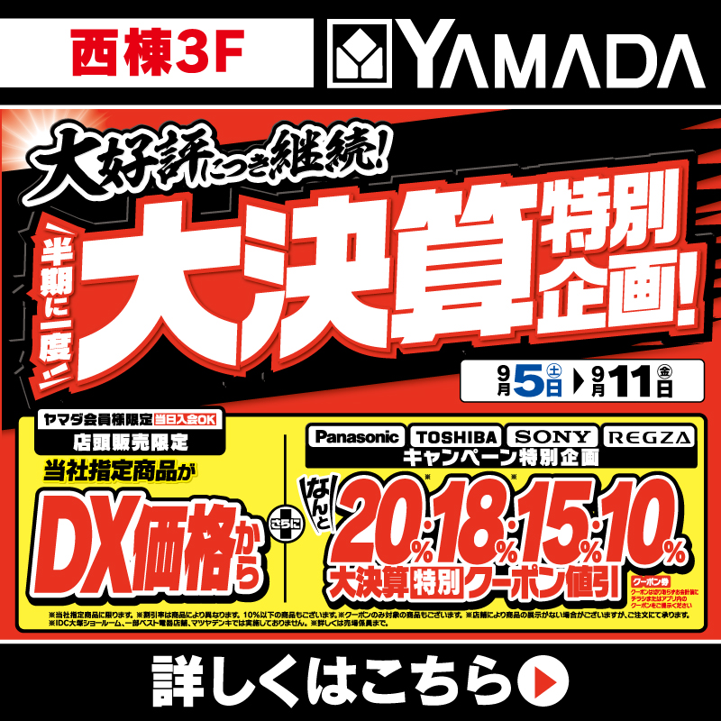 ヤマダデンキ(9/5-11)