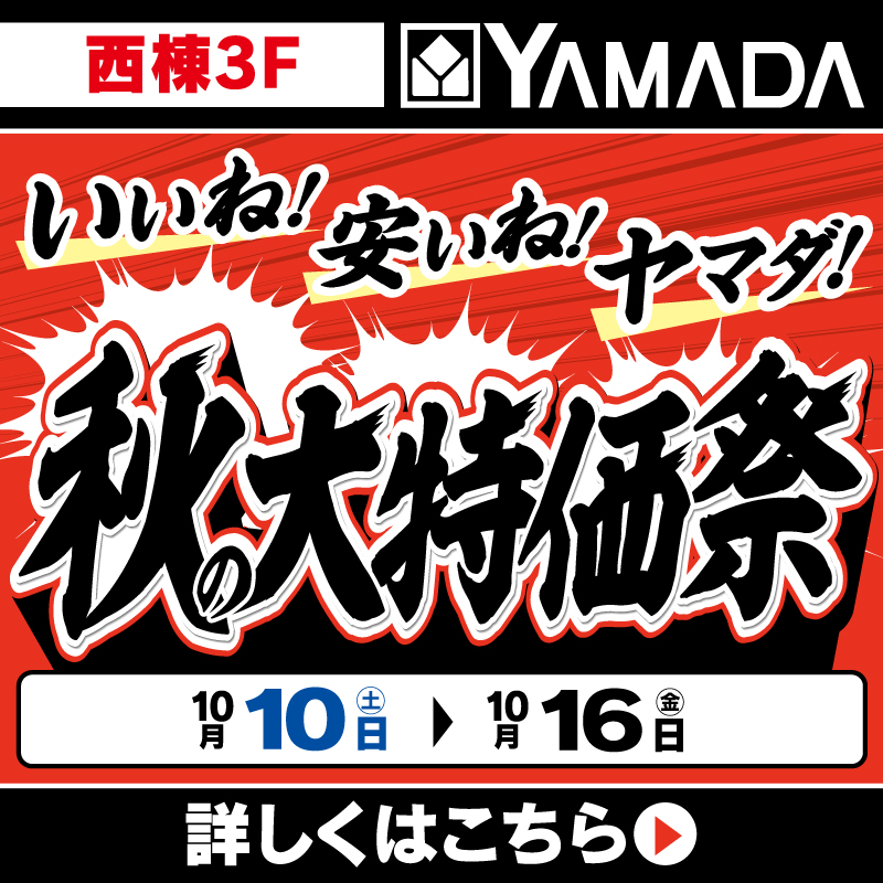 ヤマダデンキ(10/10-16)